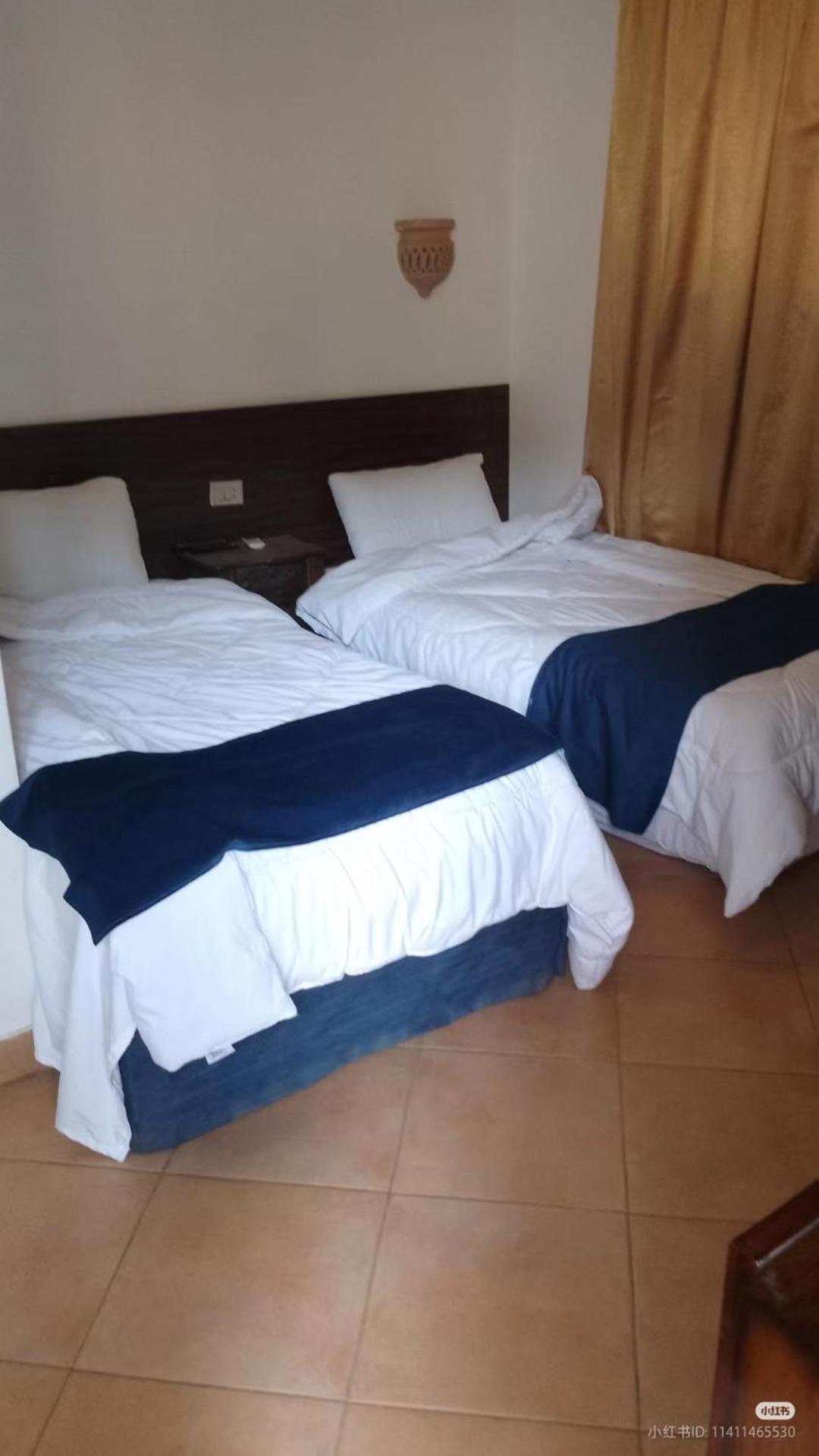 Sofia Guest House Luxor Ngoại thất bức ảnh