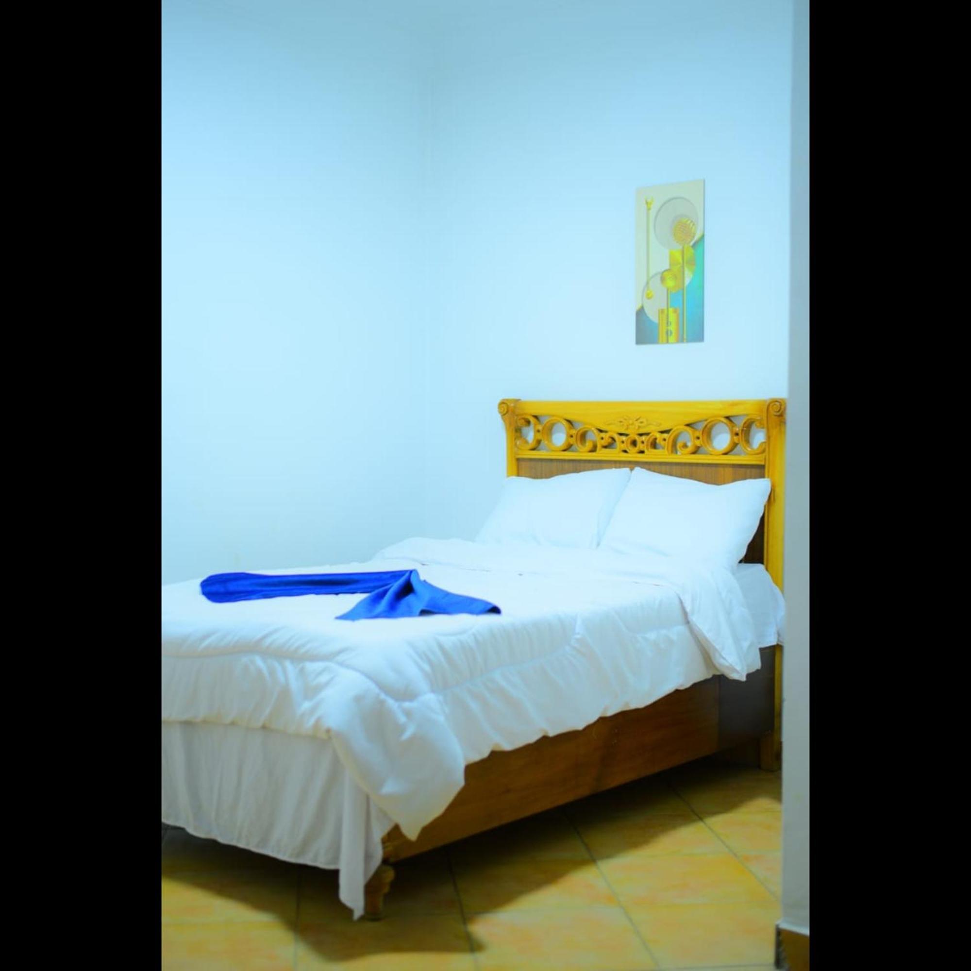 Sofia Guest House Luxor Ngoại thất bức ảnh